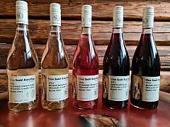 RULANDSKÉ MODRÉ ROSÉ / 2024 / Polosladké/  VÍNO SVATÉ KATEŘINY