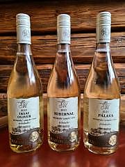 CUVEÉ DOMINANT 2024 / Polosuché /  MLADÉ VÍNO 2024