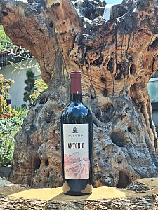 GIUSTI - ANTONIO DOC 0,75 l