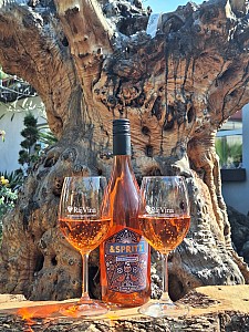 Aperolo spritz 0,75l