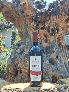 GIUSTI - AUGUSTO RECANTINA DOC 0,75 l