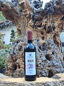 GIUSTI - MERLOT VENETO IGT 0,75 l