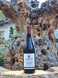 GIUSTI - VAPOLICELLA RIPASSO SUPERIOR DOC 0,75 l