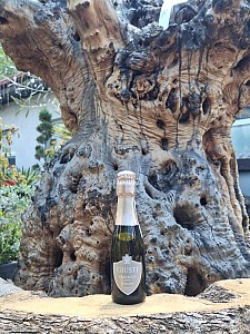 GIUSTI - PROSECCO DOC - EXTRA DRY 200 ml
